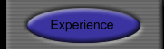 Experience